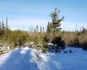 20211228_220149.jpg 20211228_220149.jpg