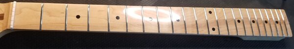 Frets finished.jpg Frets finished.jpg