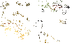 FBB13E14-A1A2-48A0-A5AC-1C6C9FD17B06.gif
