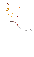 prscustom22vs24md3.gif