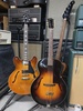L-50 and ES-335_resized.jpg
