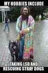 lsd and stray dogs.jpg