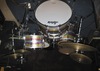 Ludwig Maple 001.JPG