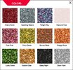 468675aaca1b1292cadff9cb4e12e3a0--krylon-glitter-blast-spray-glitter.jpg