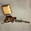 Silvertone 1450 Guitar & Amp.jpeg