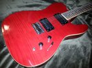 Flame Maple.jpg