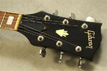 Headstock@100.jpg