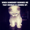 monday.jpg