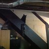 IMG_6292.JPG IMG_6292.JPG