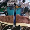 20230220_064200.jpg