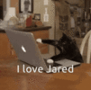 i-love-jared-jared.gif