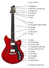 ALL-Guitar-Parts-Diagram.jpg
