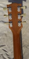 LPD neck.jpg