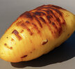 IMG_8126.jpeg