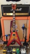 My Revenge 800 Dean V o.jpg