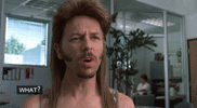 joe dirt.gif