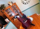 1995 Epiphone SG Junior 14.jpg