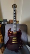 Gibson SG Supreme Wine Red_1.jpg