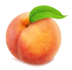 istockphoto-818448802-612x612.png