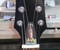 String Tree and Truss Rod cover stuff 2.jpg