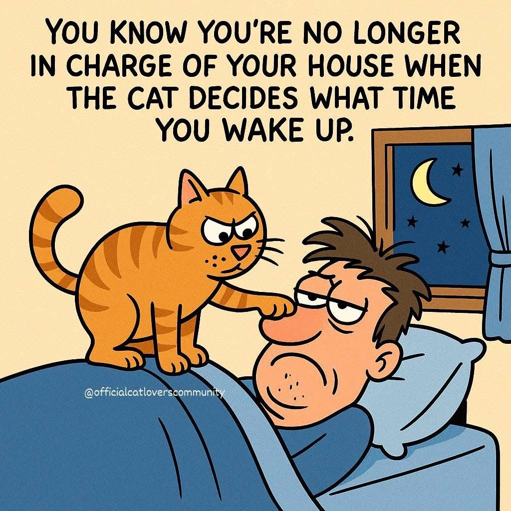 2a7b01b284b957773d4fd38ec5c53053.jpg