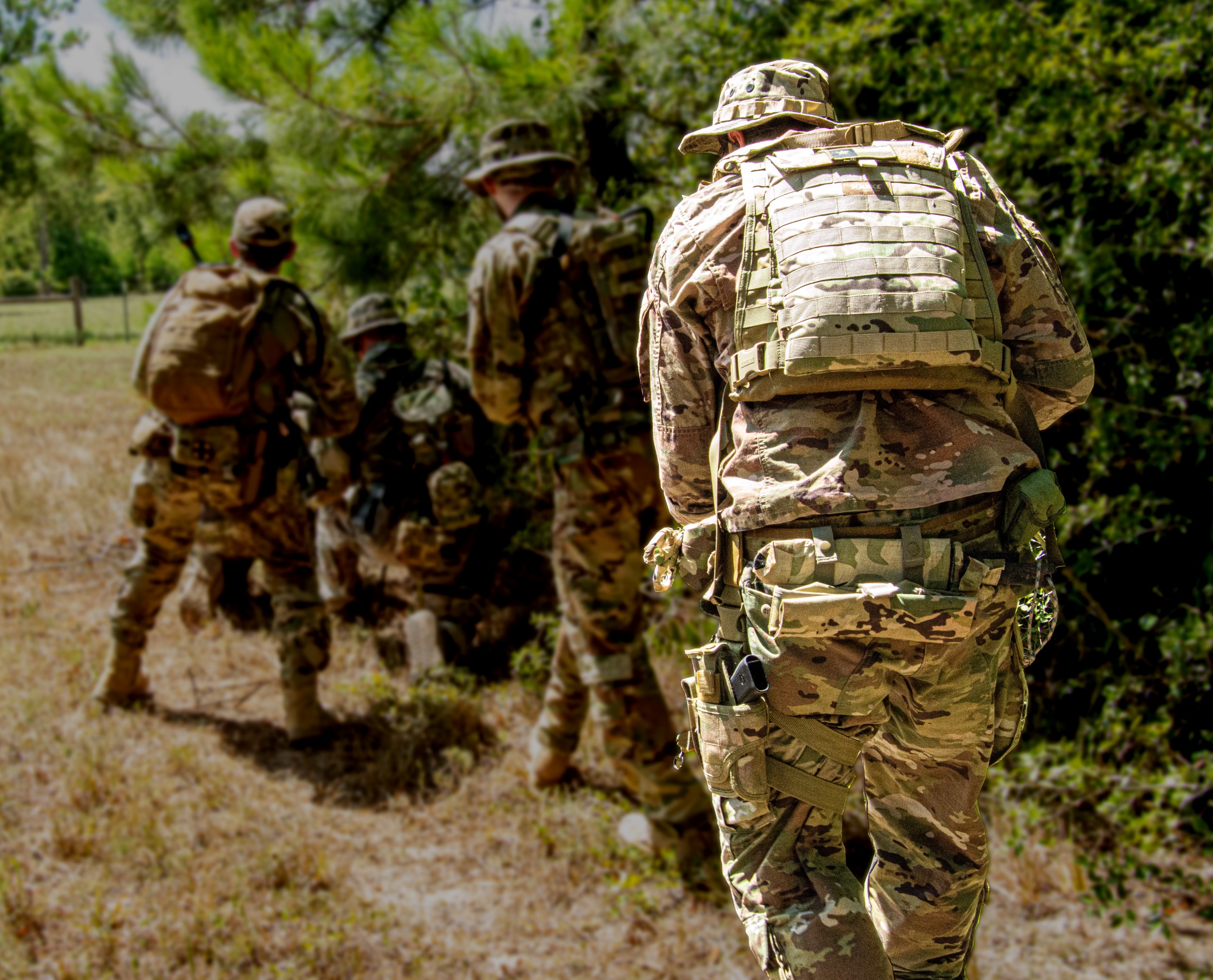 texasstatemilitia.net