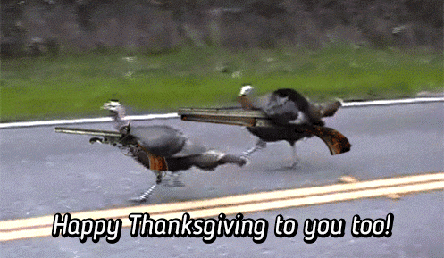 172946076happy-thanksgiving-animated-gif-47-2.gif