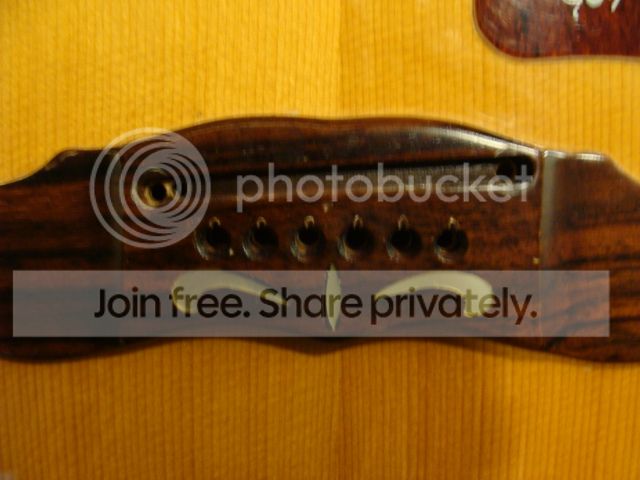 DSC03041_zpsdklrqfza.jpg