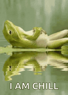 frog-lily.gif