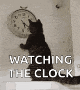 clock.gif