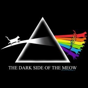 5834f466de3a35504731f85f010f750b.jpg