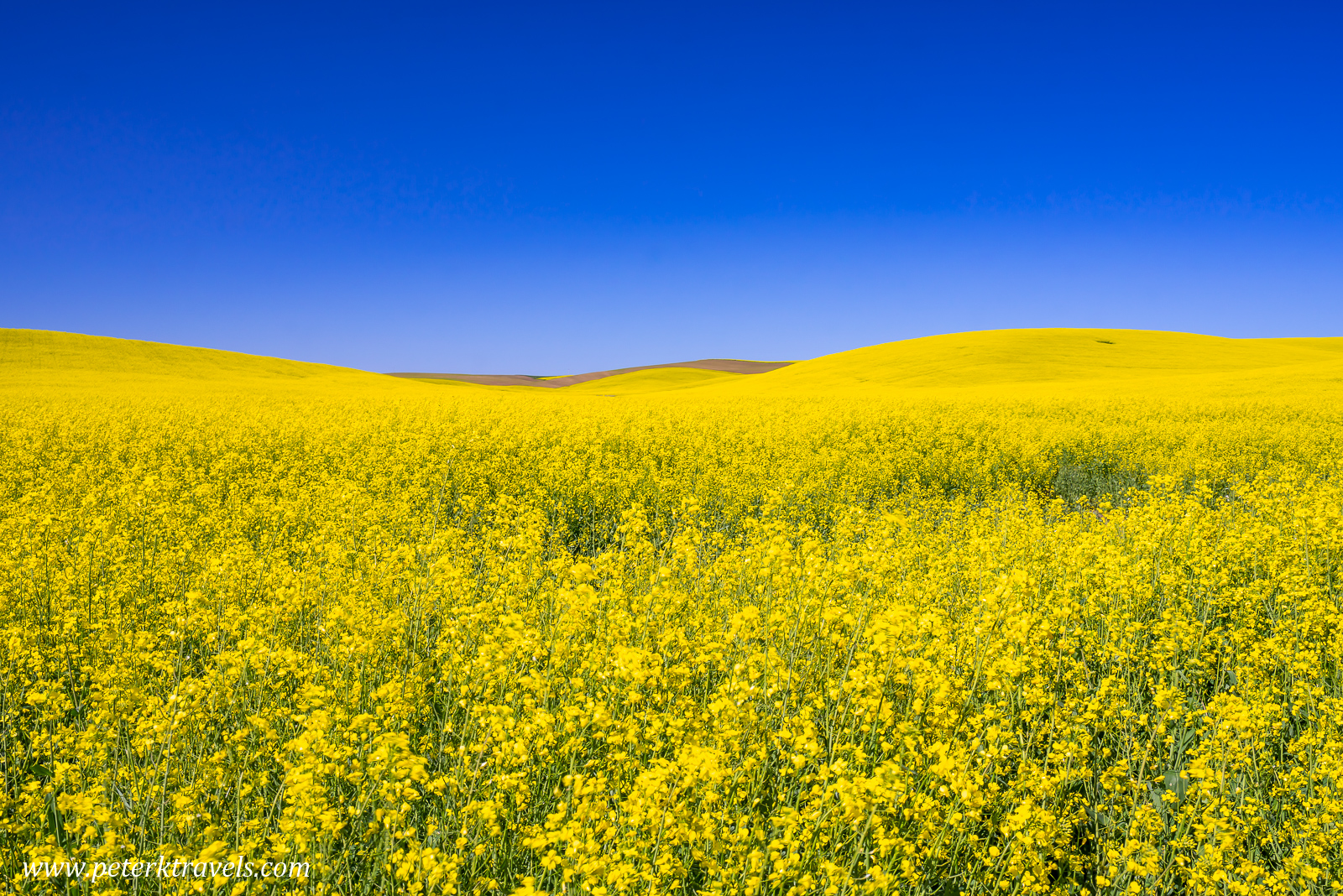 DSC07411-lr6.jpg
