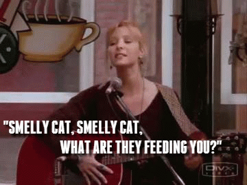 friends-anniversary-gif-8-o_z2voz3.gif