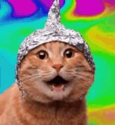 cat-with-aluminum-hat-aluminum-foil-hat.gif