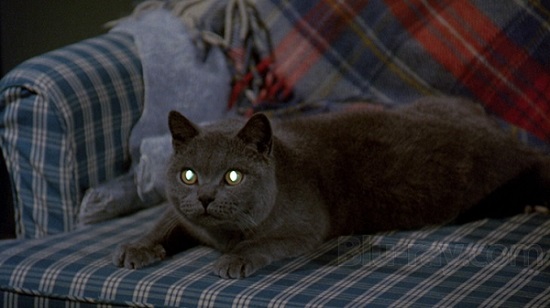 pet-sematary-1989-church-1.jpg