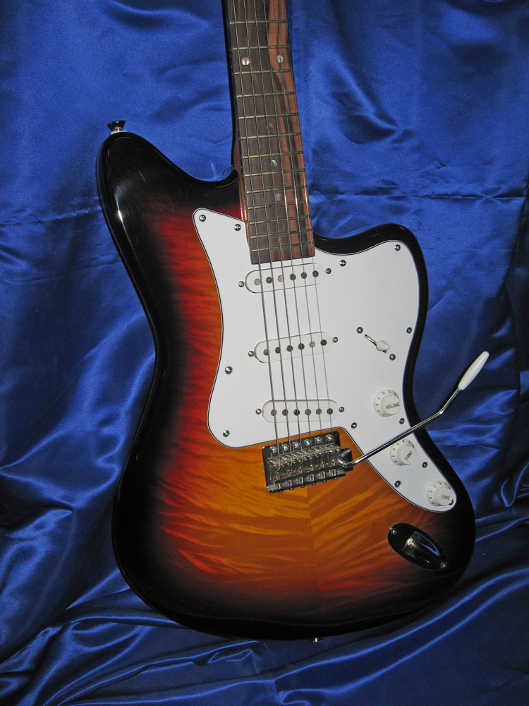 Guitar-pictures-2010-068_1.jpg
