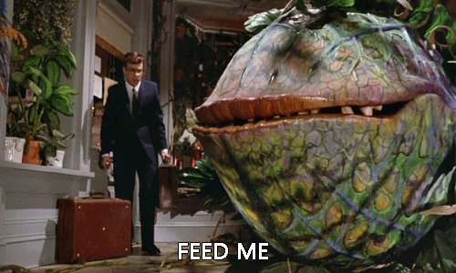 hungry-feed-me.gif