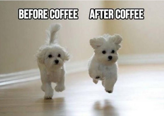 Funny-coffee-meme-images-2m6zf4g.jpg