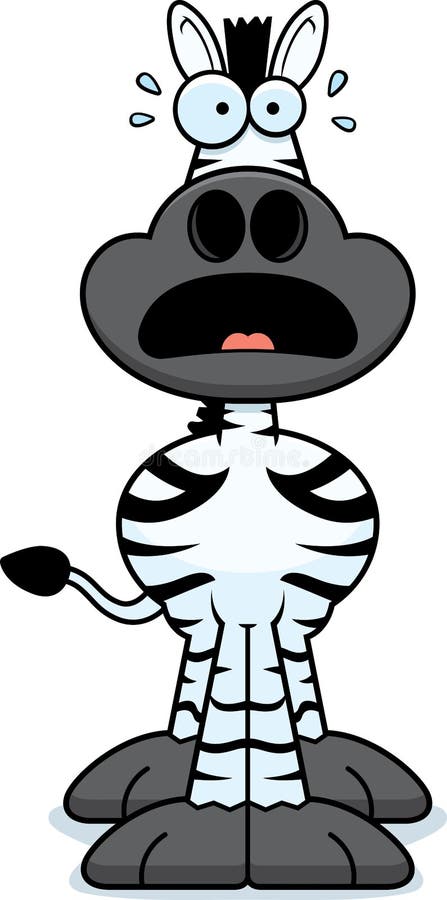 Image result for picture of scared zebra