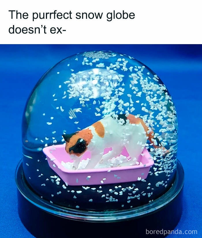 DwNSNvp.jpeg