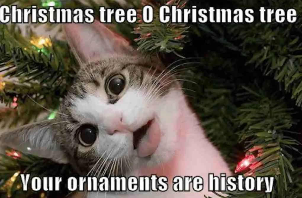 Christmas-Memes-8.jpg.webp