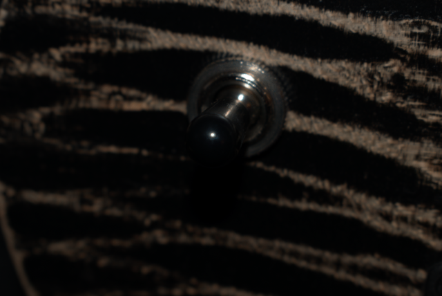 DSC-2438.png