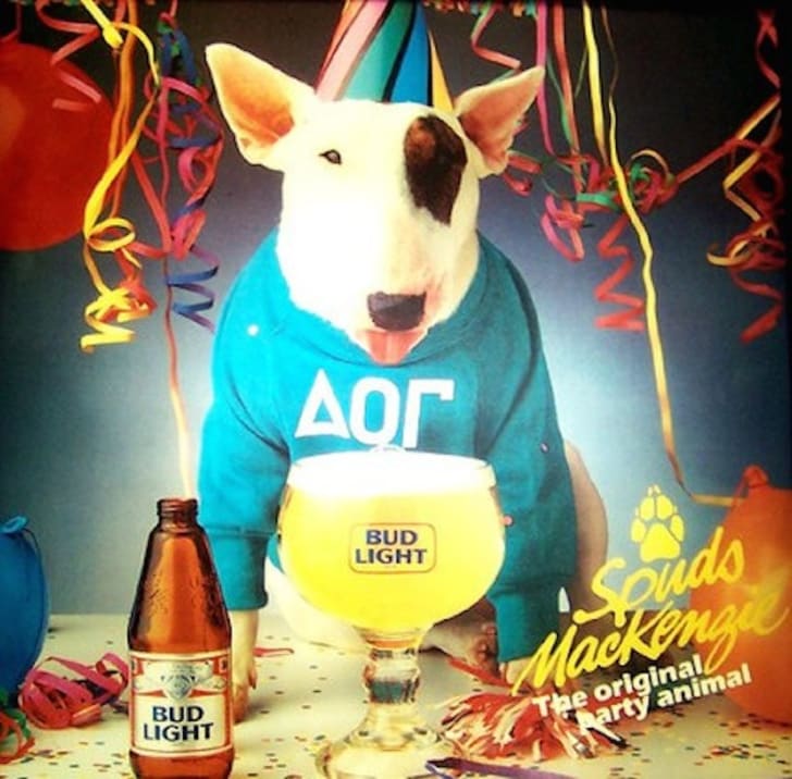 Image result for spuds mackenzie Image result for spuds mackenzie