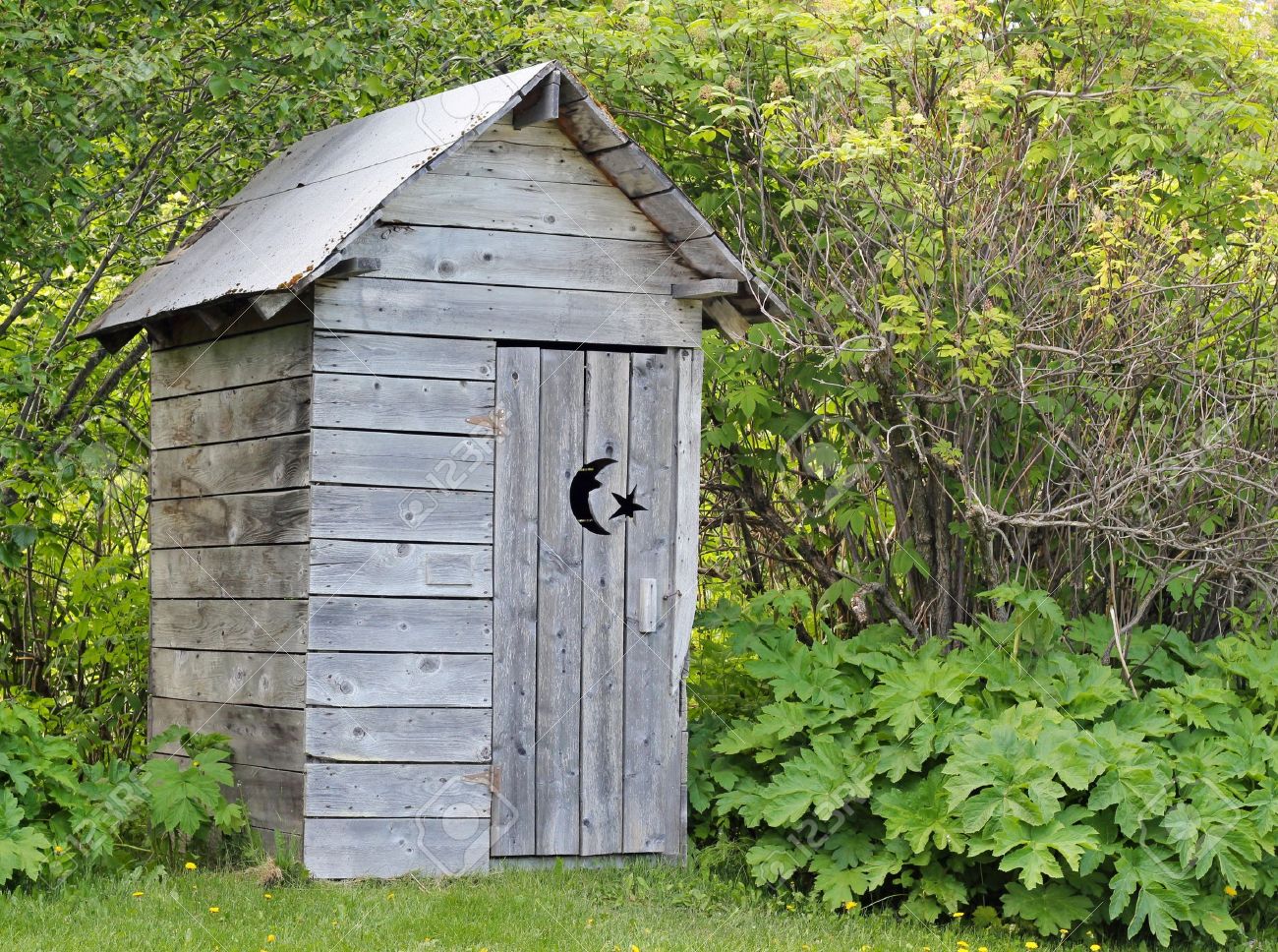 Image result for picture of outhouse Image result for picture of outhouse